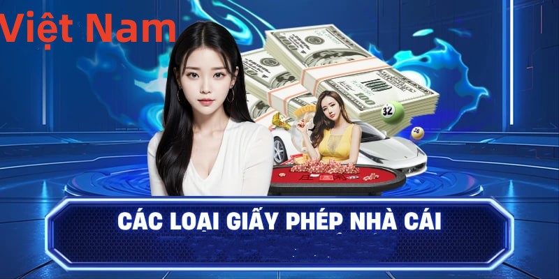 abcvip